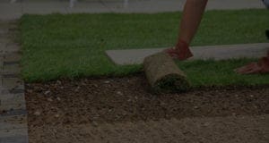 lawn care services background